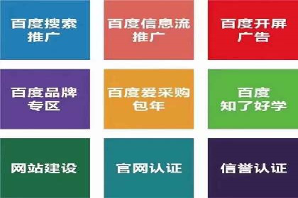 SEM网络推广案例：精准营销助力品牌成长