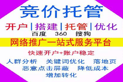 谷歌SEM广告投放策略解析：一家旅游公司的成功案例